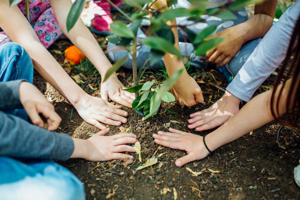 Earth Day, planting the trees